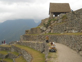 Machu Picchu, sector agr�cola alto: la casa de
                    arriba con su camino y terrazas