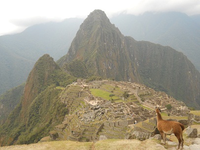 Vicu�a con Machu Picchu (miradores Huchuypicchu
                    y Huaynapicchu, cantera grande, templos, pir�mide
                    del sol, zona de la piedra sagrada, casitas de obra,
                    plaza central, templo de espejos o morteros, muros
                    grandes, prisi�n en forma de un �guila)