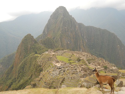 Vicu�a con Machu Picchu (miradores Huchuypicchu
                    y Huaynapicchu, cantera grande, templos, pir�mide
                    del sol, zona de la piedra sagrada, casitas de obra,
                    plaza central, templo de espejos o morteros, muros
                    grandes, prisi�n en forma de un �guila)