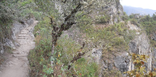 Machu Picchu, camino al puente Inca, paredes
                    rocosas verticales, foto panor�mica