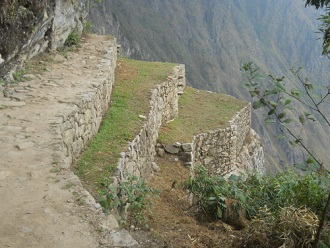 Machu Picchu, camino al puente Inca pasando m�s
                    terrazas agricolas