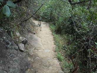 Camino al mirador Huaynapicchu, camino 01