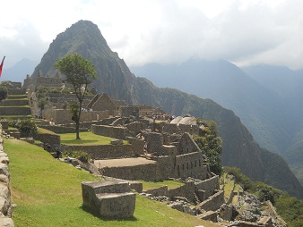 Der Hausberg Huaynapicchu mit Baum