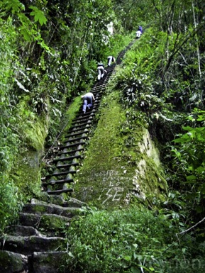 fast senkrechte Holztreppe f�r den Aufstieg auf den Putukusi-Berg (Putucusi-Berg)