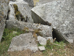 Der grosse Steinbruch von Machu Picchu: Grosse Steine mit Schnittfl�chen