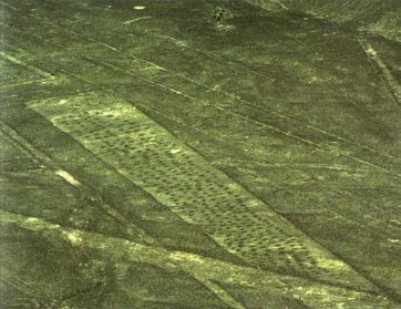 Piste von
                Palpa mit L�chern (Koordinaten: Breite -14.555911, L�nge
                -75.177705)