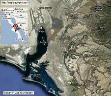 Satellitenkarte mit der Lagune San
                              Ignacio im s�dlichen Niederkalifornien
                              ("Baja California") mit der
                              Position des Geoglyphen mit dem Wal und
                              dem Walbaby