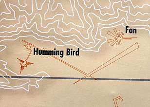 Linee di Nazca, dettaglio della mappa
                        dell'istituto con il colibr� (ingl. Hummingbird)
                        e il ventaglio (ingl. Fan), che � anche chiamato
                        stella (ing. Star)
