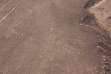 Il colibr� in realt�. Nell'ingrandimento si
                        pu� vedere chiaramente che mancano linee sulla
                        mappa dell'istituto.