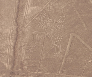 Il ragno nella realt�, si pu� notare che
                        sulla mappa dell'istituto mancano le linee rette
                        che attraversano il ragno, e mancano anche
                        alcune linee accanto al ragno.