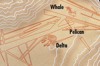 Linee di Ingenio, dettaglio della mappa
                        dell'istituto con la balena (Whale, ma in realt�
                        � un'orca), il Delta e il pellicano
                        (Pelican)(Valle di Ingenio).