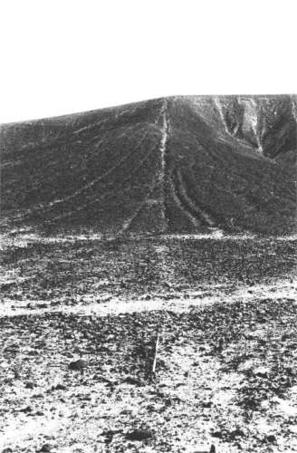 Einige Linien f�hren
                        auch direkt steil die Berge hinauf