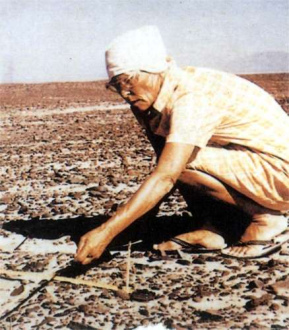 Maria Reiche
                        ungef�hr in den 1960er Jahren, vermisst hier
                        eine Linie. Das Foto wurde weltbekannt und
                        ver�nderte das Bewusstsein der Welt.