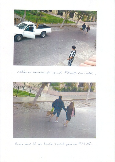 Serie 1, escena 8