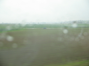 Freies Feld