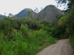 Oxapampa-Tsachopen, 2 Berge / 2
                                montes