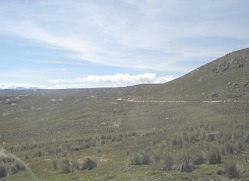Moorlandschaft mit Strassenverlauf (02)