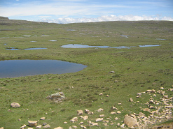 Wasserl�cher
