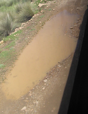 Der Feldweg und ein grosses Pf�tzenschlagloch oder eine
            Pf�tzenwanne
