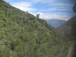 Sicht aus dem Tal, Strauch und Baumgestalt
