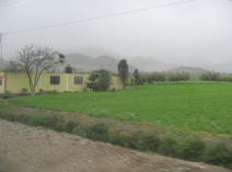 Panamericana, Feld und W�stenberge in der
                        Ebene von Chancay und Huaral (02)