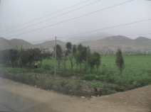 Panamericana, Feld und W�stenberge in der
                        Ebene von Chancay und Huaral (03)