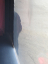 Busfahrer vor R�tselreifen (13)