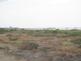 N�rdliche Panamericana zwischen Tumbes
                          und Zorritos, ein Pier