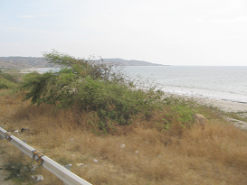 Strandbucht zwischen Tumbes und Zorritos
                          (01)