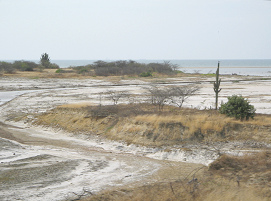 Strandbucht zwischen Tumbes und Zorritos
                          (04)