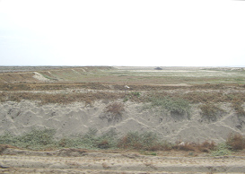 Panamericana Norte zwischen Tumbes und
                          Zorritos, ein leeres Becken f�r Muschelzucht
                          (02)