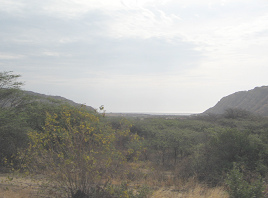 Panamericana Norte zwischen Zorritos und
                      Mancora, Sicht aufs Meer