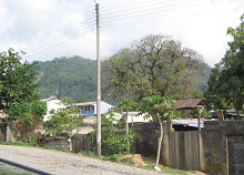 San Ramon, Quartier