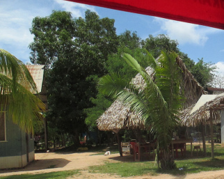Casitas con palmeras en San Francisco, regi�n de
                Pucallpa