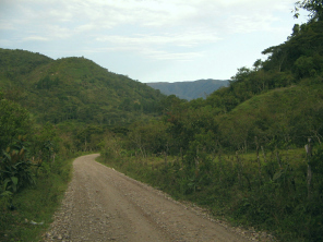 Der Feldweg
